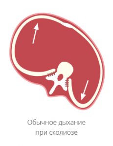 привычный тип дыхания