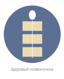 катарина шрот